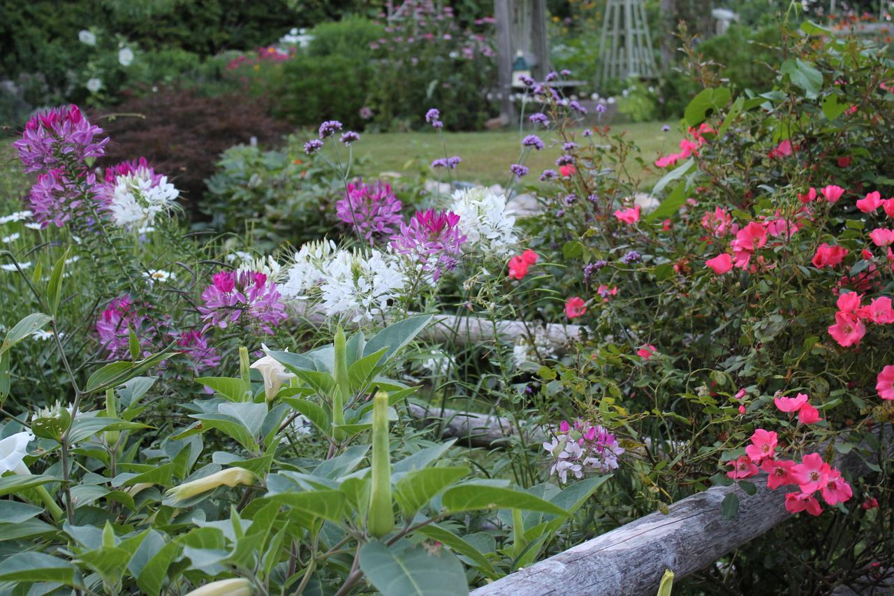 Lavender Bay Bed & Breakfast Barnstable Eksteriør bilde