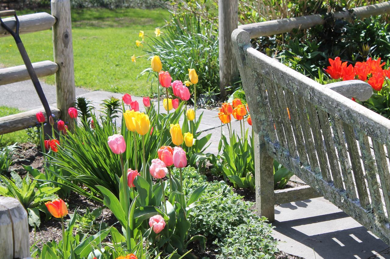 Lavender Bay Bed & Breakfast Barnstable Eksteriør bilde